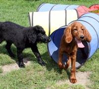 IMG_474705