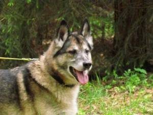 Milow 15